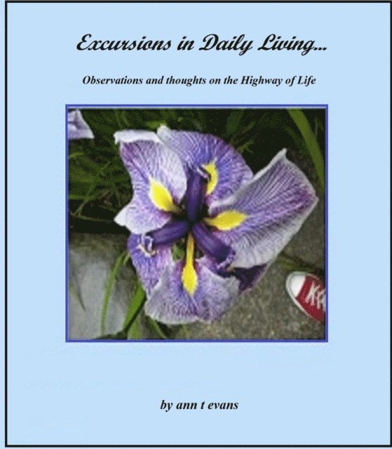 Ann Evans - Excursions in Daily Living, E-bok