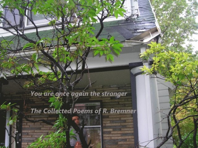 R - You Are Once Again The Stranger, E-bok