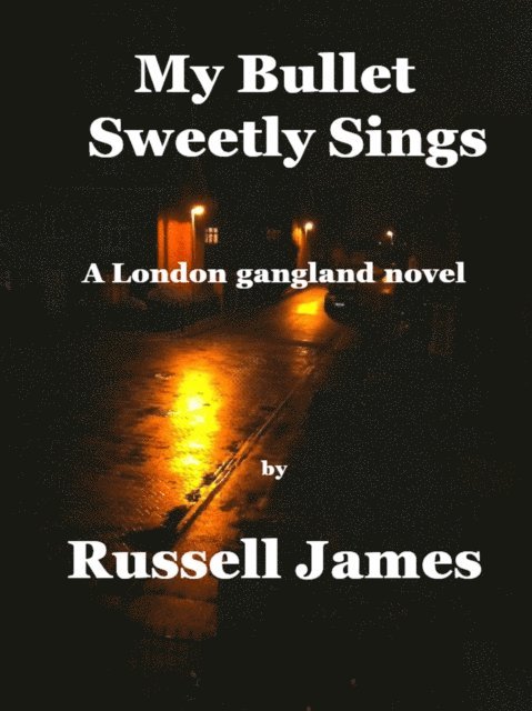 Russell James - My Bullet Sweetly Sings, E-bok