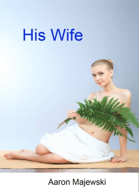 Aaron Majewski - His Wife, E-bok