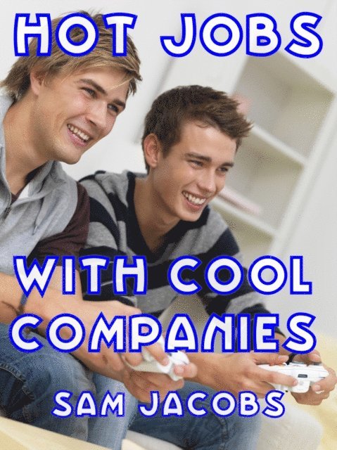 Neil Plakcy - Hot Jobs with Cool Companies, E-bok