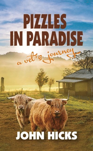 John Hicks - Pizzles in Paradise, E-bok