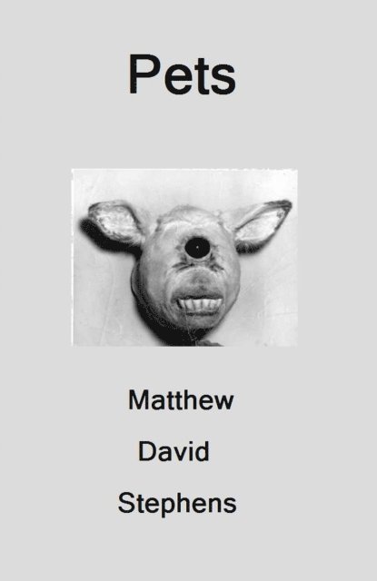 Matthew Stephens - Pets, E-bok