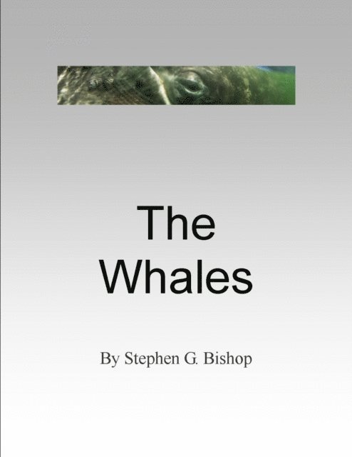 Stephen Bishop - Whales, E-bok