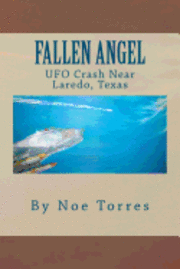 Noe Torres - Fallen Angel: UFO Crash Near Laredo, Texas, Häftad. Tillgänglighet: Lägg i varukorg