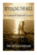 Revealing the Soul: An Analysis of Torah and Creation