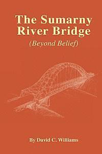 David C. Williams - The Sumarny River Bridge: Beyond Belief, Häftad. Tillgänglighet: Lägg i varukorg