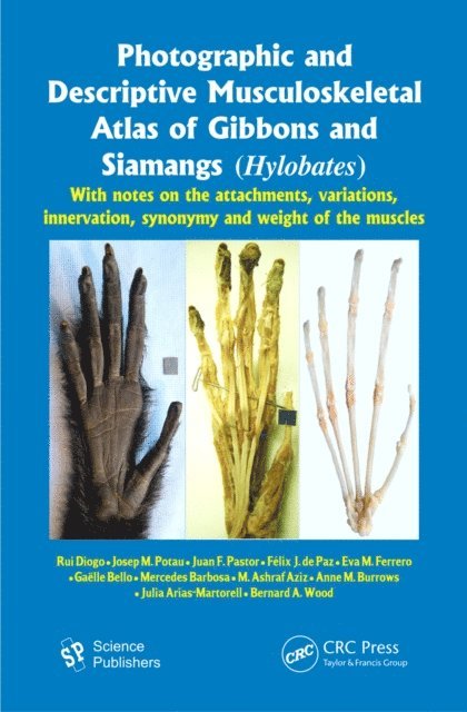 Julia Arias-Martorell, Anne M. Burrows, M. Ashraf Aziz, Mercedes Barbosa, Gaelle Bello, Eva M. Ferrero, Felix J. dePaz, Juan F. Pastor, Josep M. Potau, Rui Diogo - Photographic and Descriptive Musculoskeletal Atlas of Gibbons and Siamangs (Hylobates), E-bok