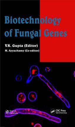 V. K. Gupta, M. Ayyachamy - Biotechnology of Fungal Genes, E-bok