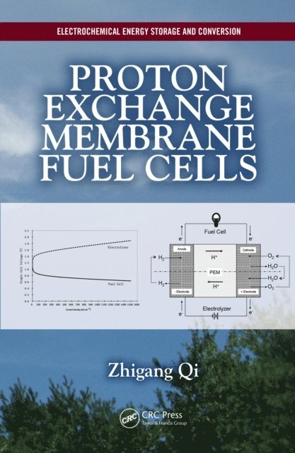 Zhigang Qi - Proton Exchange Membrane Fuel Cells, E-bok