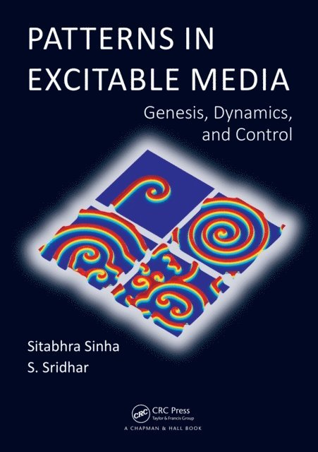 S. Sridhar, Sitabhra Sinha - Patterns in Excitable Media, E-bok