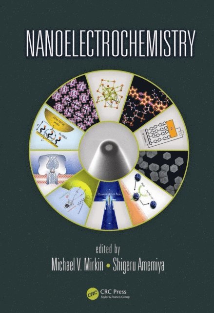 Shigeru Amemiya, Michael V. Mirkin - Nanoelectrochemistry, E-bok