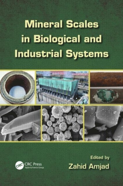 Zahid Amjad - Mineral Scales in Biological and Industrial Systems, E-bok. Tillgänglighet: Lägg i varukorg