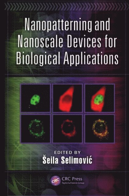 Seila Selimovic - Nanopatterning and Nanoscale Devices for Biological Applications, E-bok
