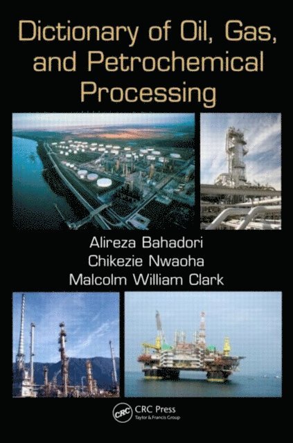 Alireza Bahadori - Dictionary of Oil, Gas, and Petrochemical Processing, E-bok