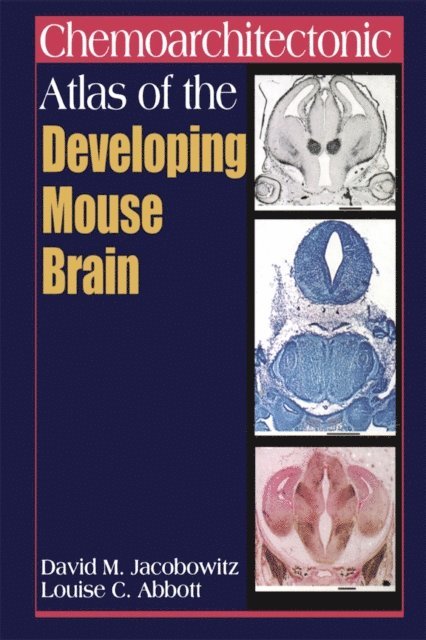 Louise C. Abbott, David M. Jacobowitz - Chemoarchitectonic Atlas of the Developing Mouse Brain, E-bok