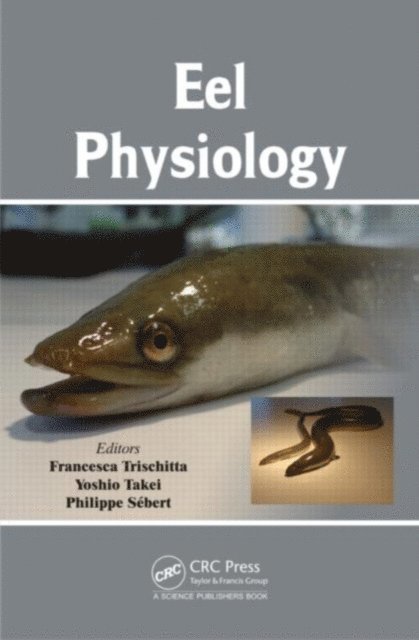 Philippe Sebert, Yoshio Takei, Francesca Trischitta - Eel Physiology, E-bok
