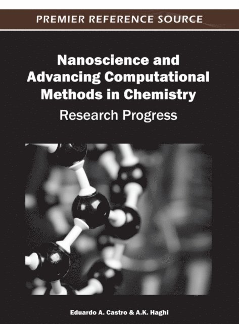 A.K., Eduardo A. - Nanoscience and Advancing Computational Methods in Chemistry: Research Progress, E-bok