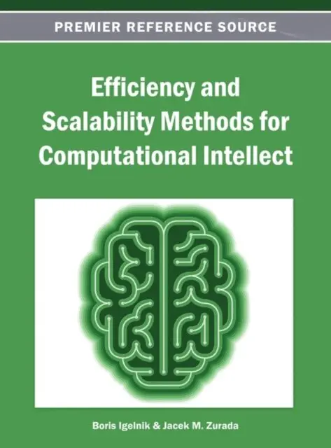 Jacek M. Zurada, Boris Igelnik - Efficiency and Scalability Methods for Computational Intellect, E-bok. Tillgänglighet: Lägg i varukorg