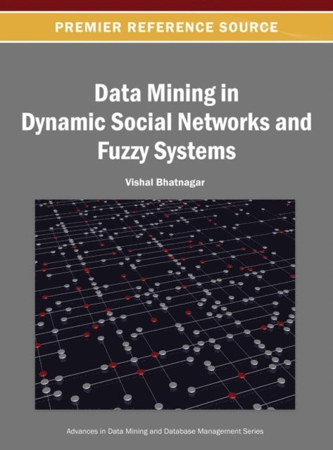 Vishal - Data Mining in Dynamic Social Networks and Fuzzy Systems, E-bok