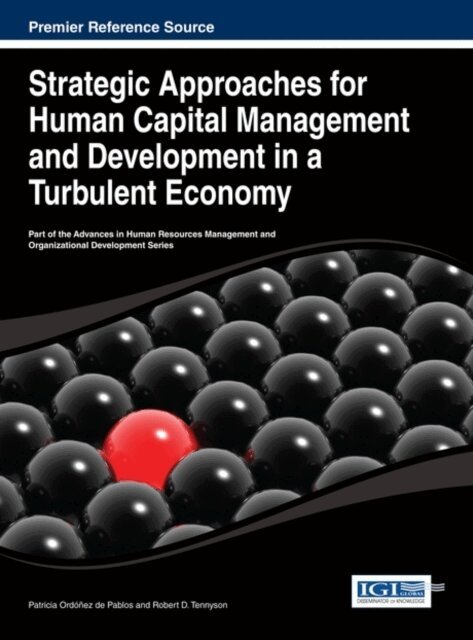 Robert D., Patricia - Strategic Approaches for Human Capital Management and Development in a Turbulent Economy, E-bok. Tillgänglighet: Lägg i varukorg