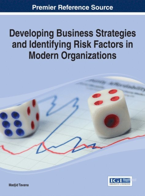 Madjid - Developing Business Strategies and Identifying Risk Factors in Modern Organizations, E-bok