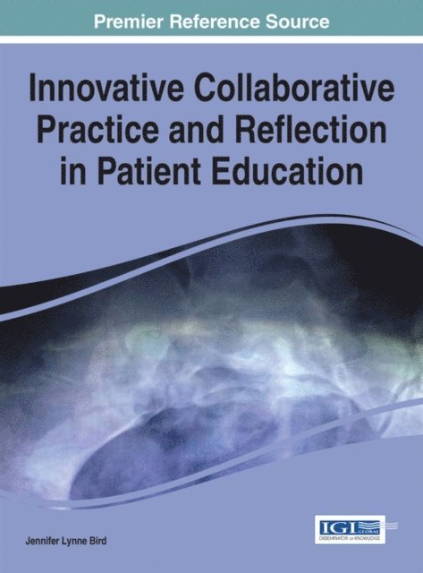 Jennifer Lynne Bird - Innovative Collaborative Practice and Reflection in Patient Education, E-bok