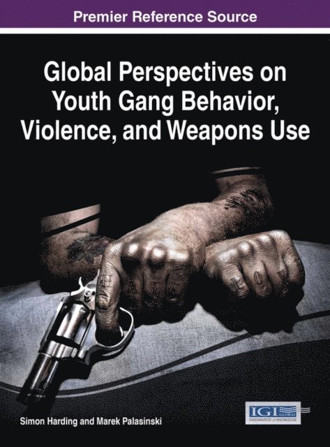 Marek Palasinski, Simon Harding - Global Perspectives on Youth Gang Behavior, Violence, and Weapons Use, E-bok