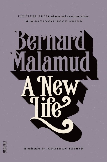 Bernard Malamud - New Life, E-bok