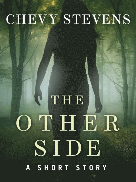 Chevy Stevens - Other Side, E-bok