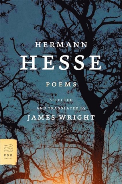 Hermann Hesse - Poems, E-bok