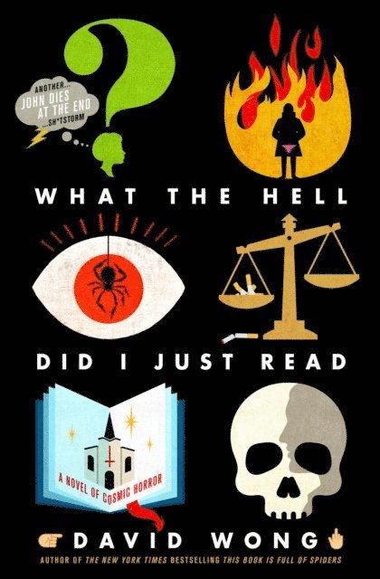 David Wong, Jason Pargin - What the Hell Did I Just Read, E-bok