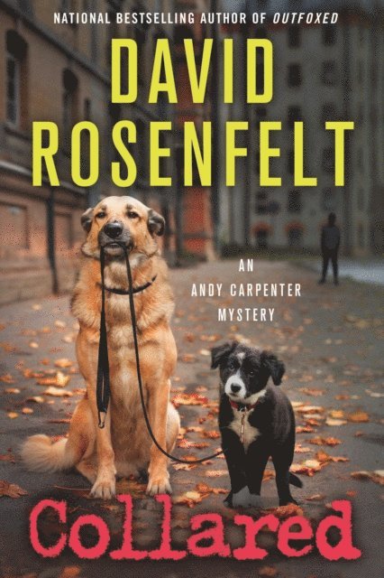 David Rosenfelt - Collared, E-bok