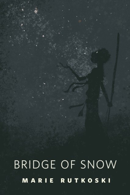 Marie Rutkoski - Bridge of Snow, E-bok