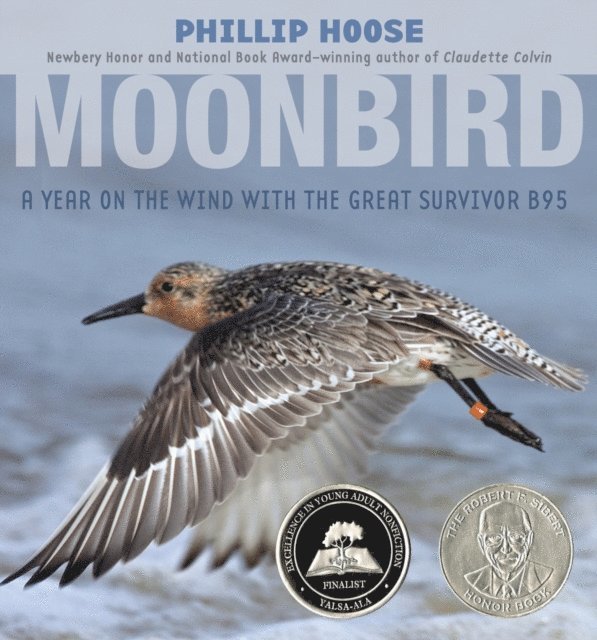 Phillip Hoose - Moonbird, E-bok