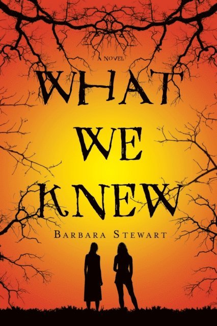 Barbara Stewart - What We Knew, E-bok
