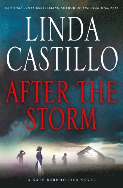 Linda Castillo - After the Storm, E-bok