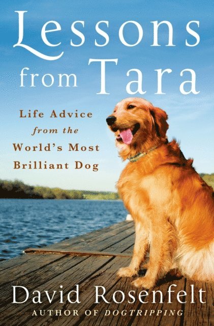 David Rosenfelt - Lessons from Tara, E-bok