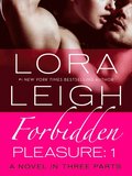 Forbidden Pleasure: Part 1