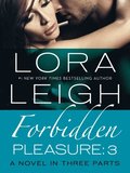 Forbidden Pleasure: Part 3