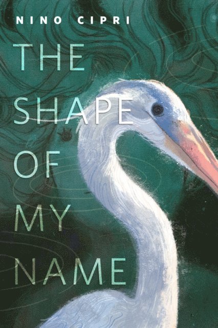 Nino Cipri - Shape of My Name, E-bok. Tillgänglighet: Lägg i varukorg