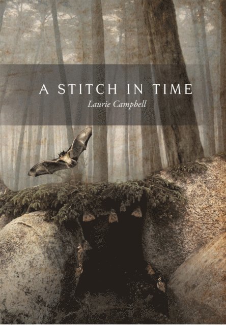 Laurie Campbell - Stitch in Time, E-bok