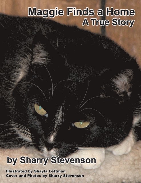 Sharry Stevenson - Maggie Finds a Home, E-bok. Tillgänglighet: Lägg i varukorg