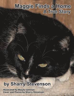 Sharry Stevenson - Maggie Finds a Home, Häftad. Tillgänglighet: Lägg i varukorg