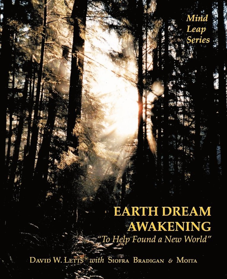 David W Letts - Earth Dream Awakening, Häftad. Tillgänglighet: Lägg i varukorg