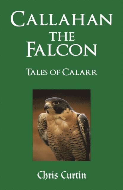 Chris Curtin - Callahan the Falcon, E-bok