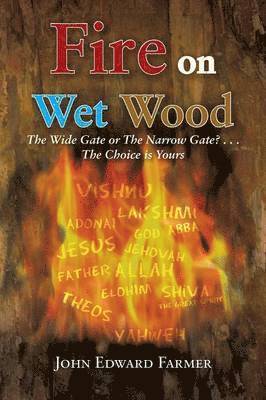 John Edward Farmer - Fire on Wet Wood, Häftad. Tillgänglighet: Lägg i varukorg