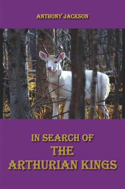 Anthony Jackson - In Search of the Arthurian Kings, E-bok