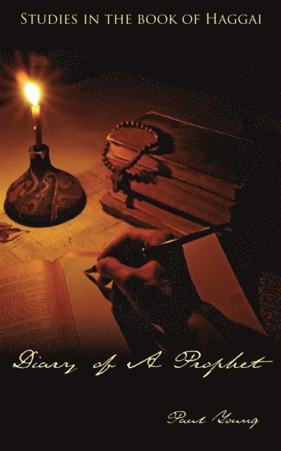 Paul Young - Diary of a Prophet, E-bok