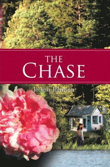 JoAnn Johnson - Chase, E-bok